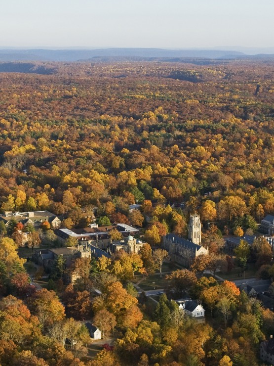 The Domain The University of the South