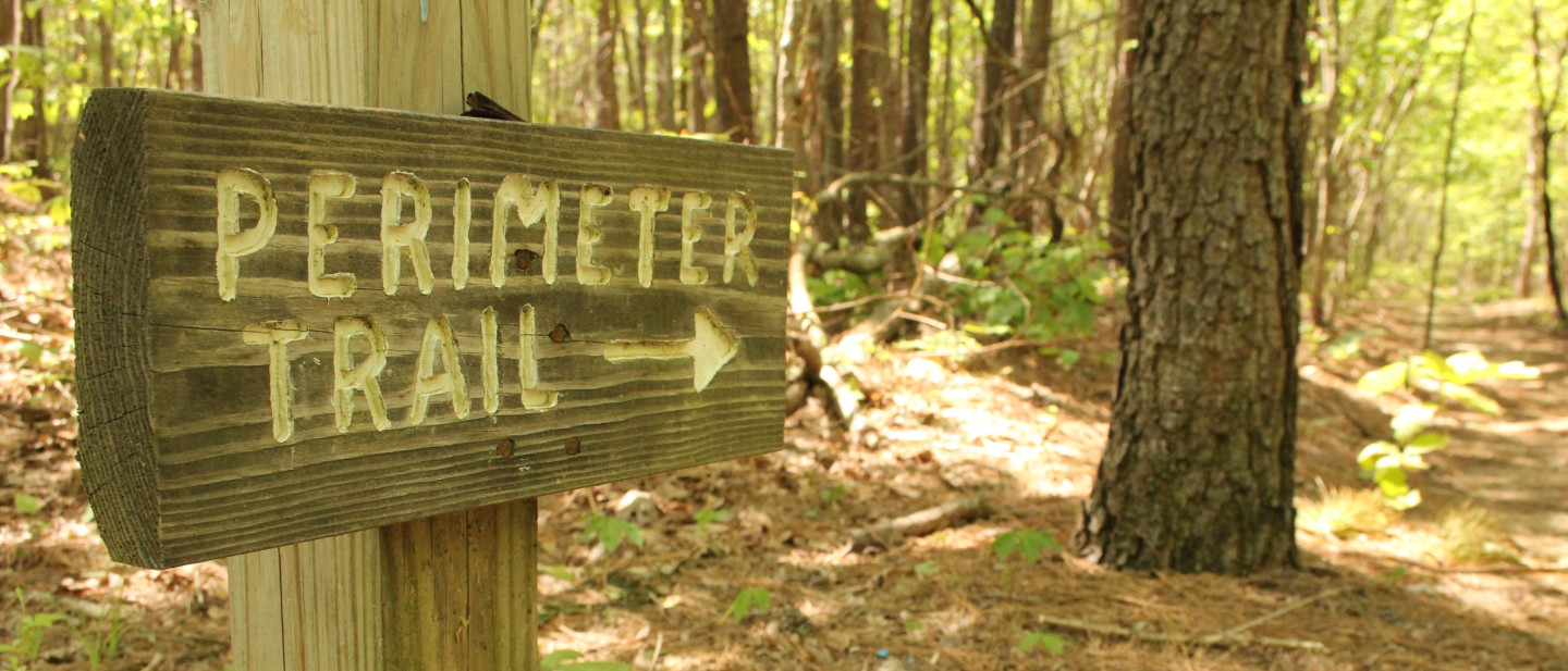 Sewanee - Photo 1