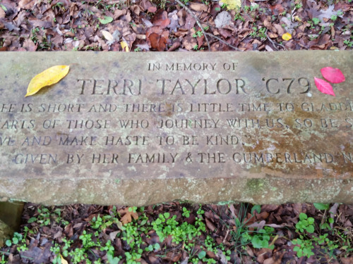 Terri's memorial bench behind Johnson Hall